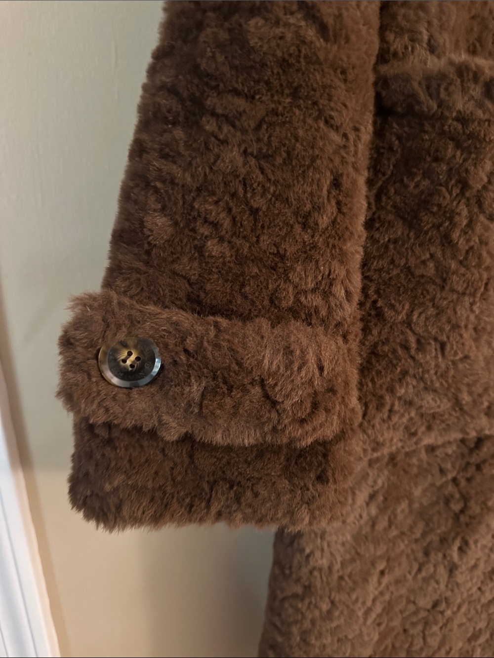 Sam Edelman Plush Brown Teddy Coat - Picture 2 of 5